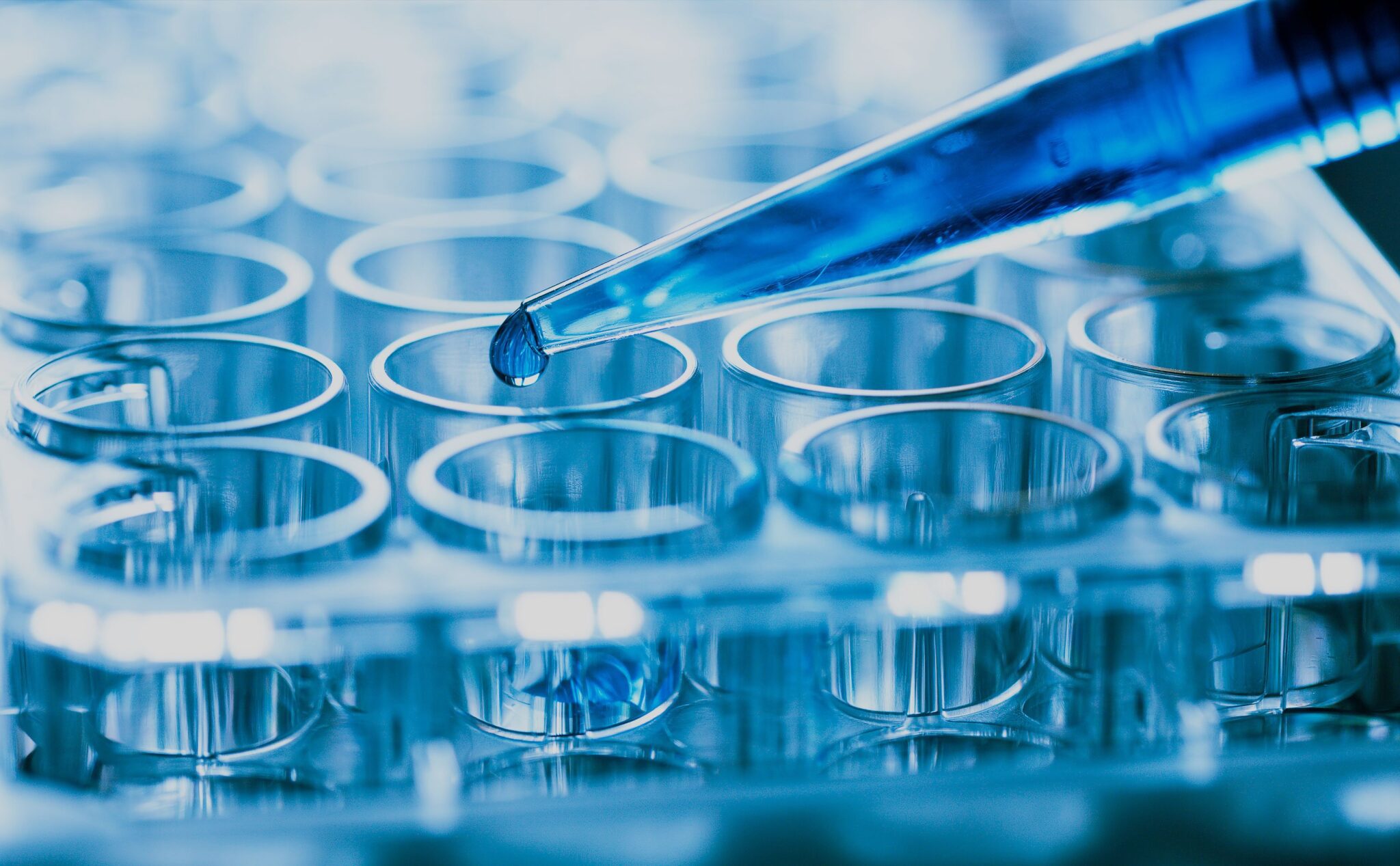 Exploring the Epigenome