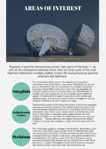 Graphic highlighting the regions of the brain associated with important emotional and psychological states, according to positive neuroscience research.