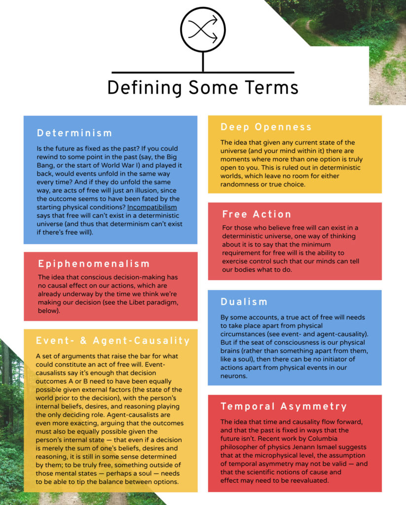 An infographic showing definitions of free will and terms in the neuroscience of free will.