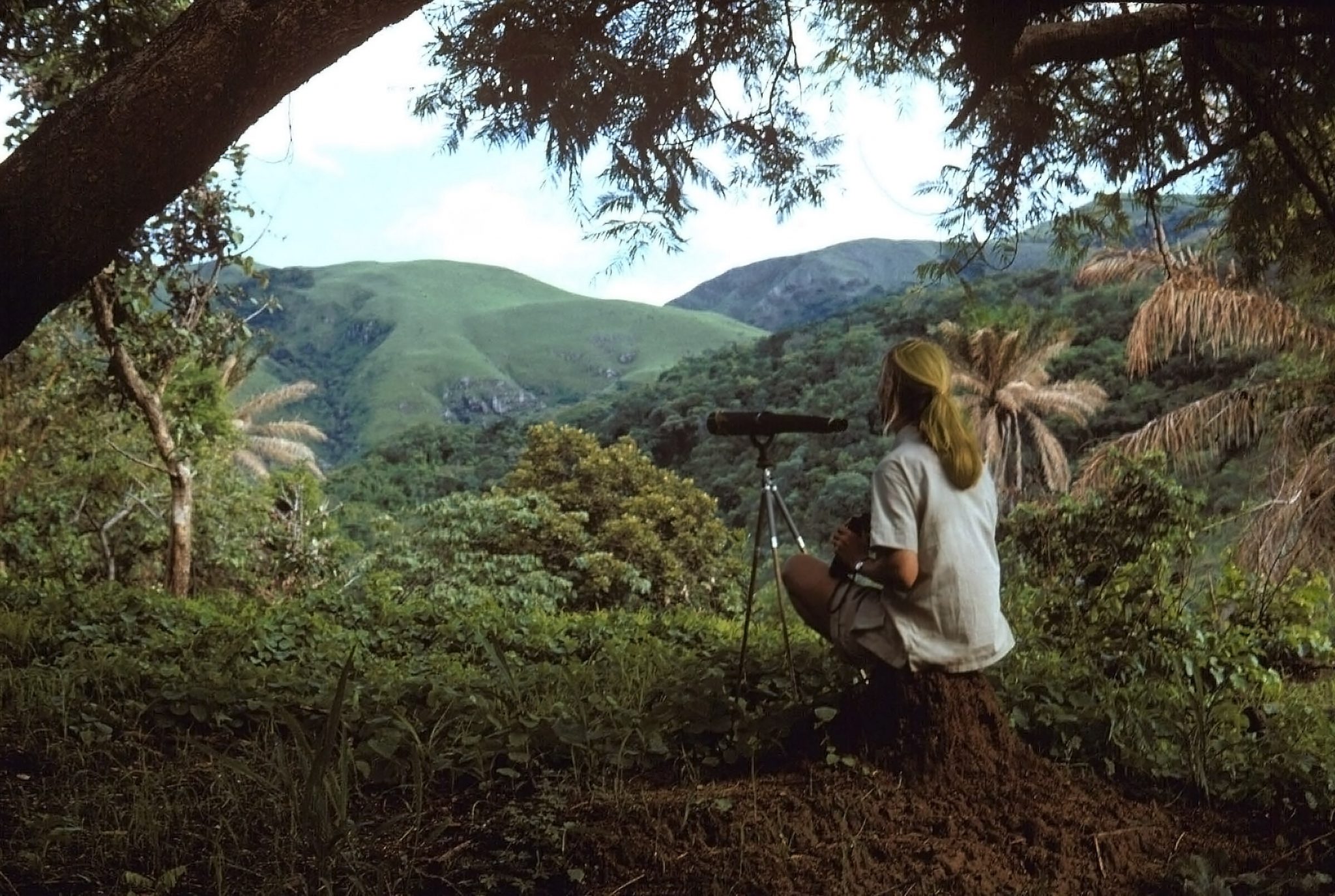 The cathedral and the forest: How two awe-inspiring moments shaped Jane Goodall’s spirituality