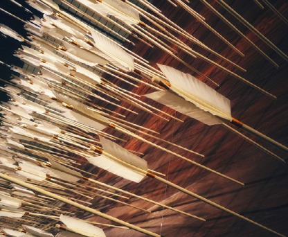 Quantum biology and the arrow of time