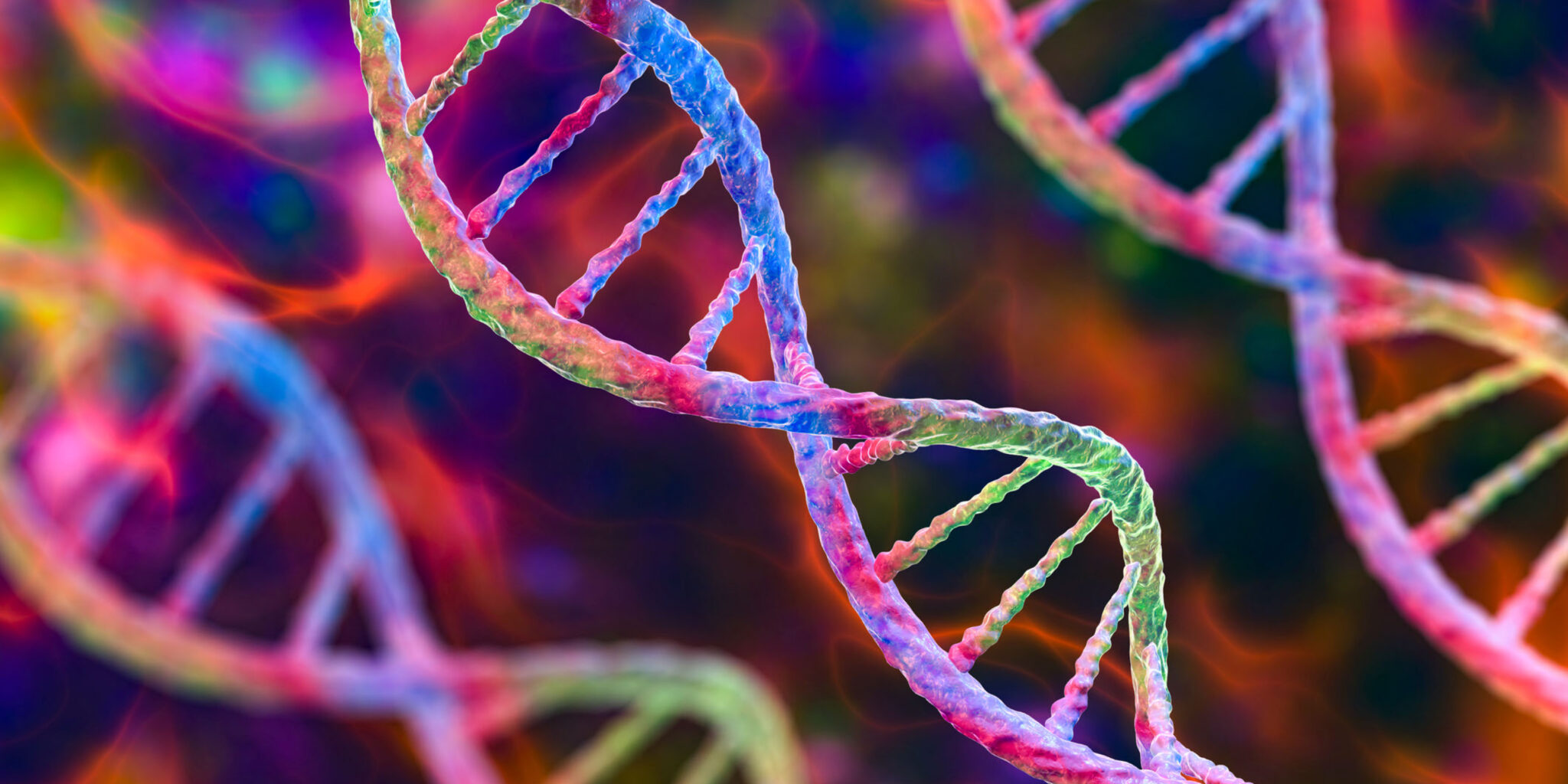 Are Random Mutations Not So Random? | Groundbreaking Study Sheds New Light on Human Evolution