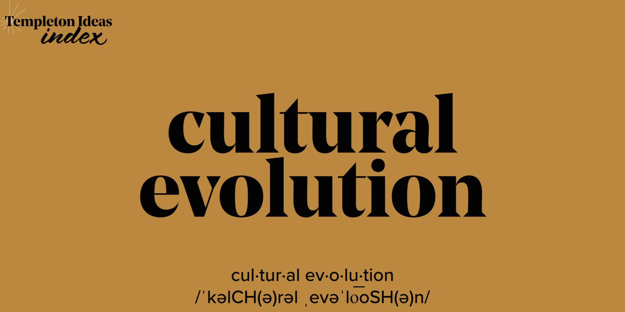 What Is Cultural Evolution?