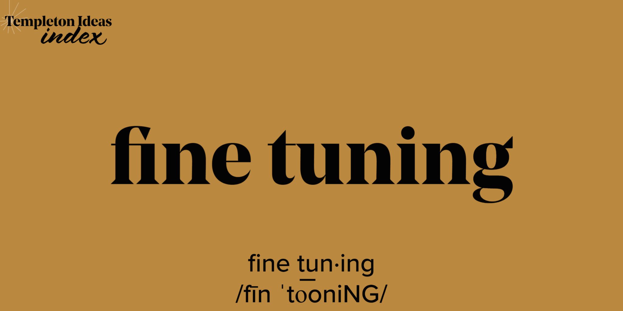 What Is Fine Tuning?