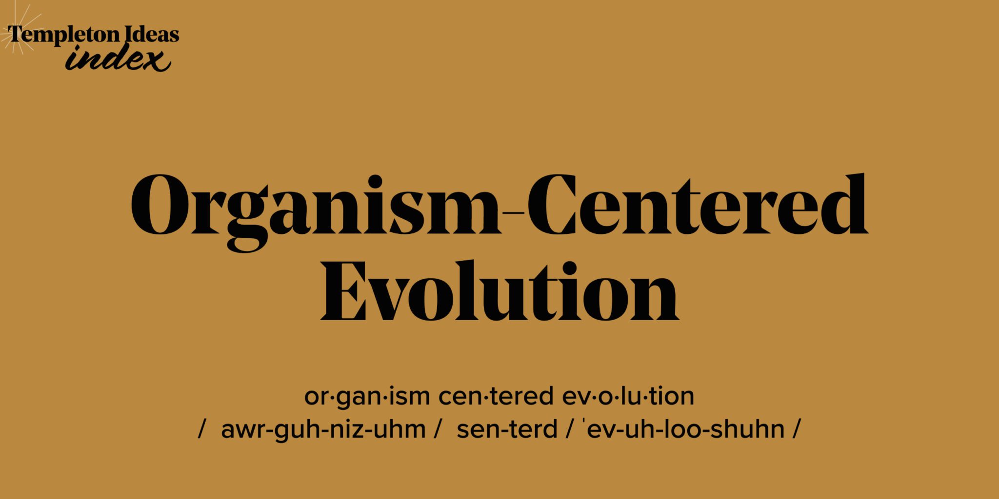 What Is Organism-Centered Evolution?