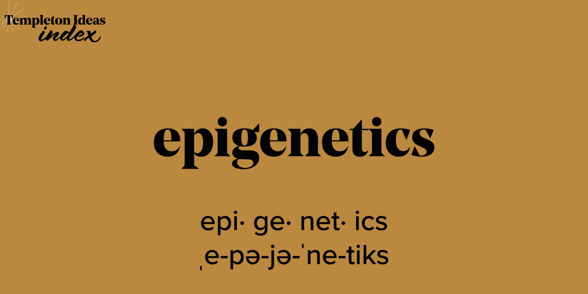 What Is Epigenetics?