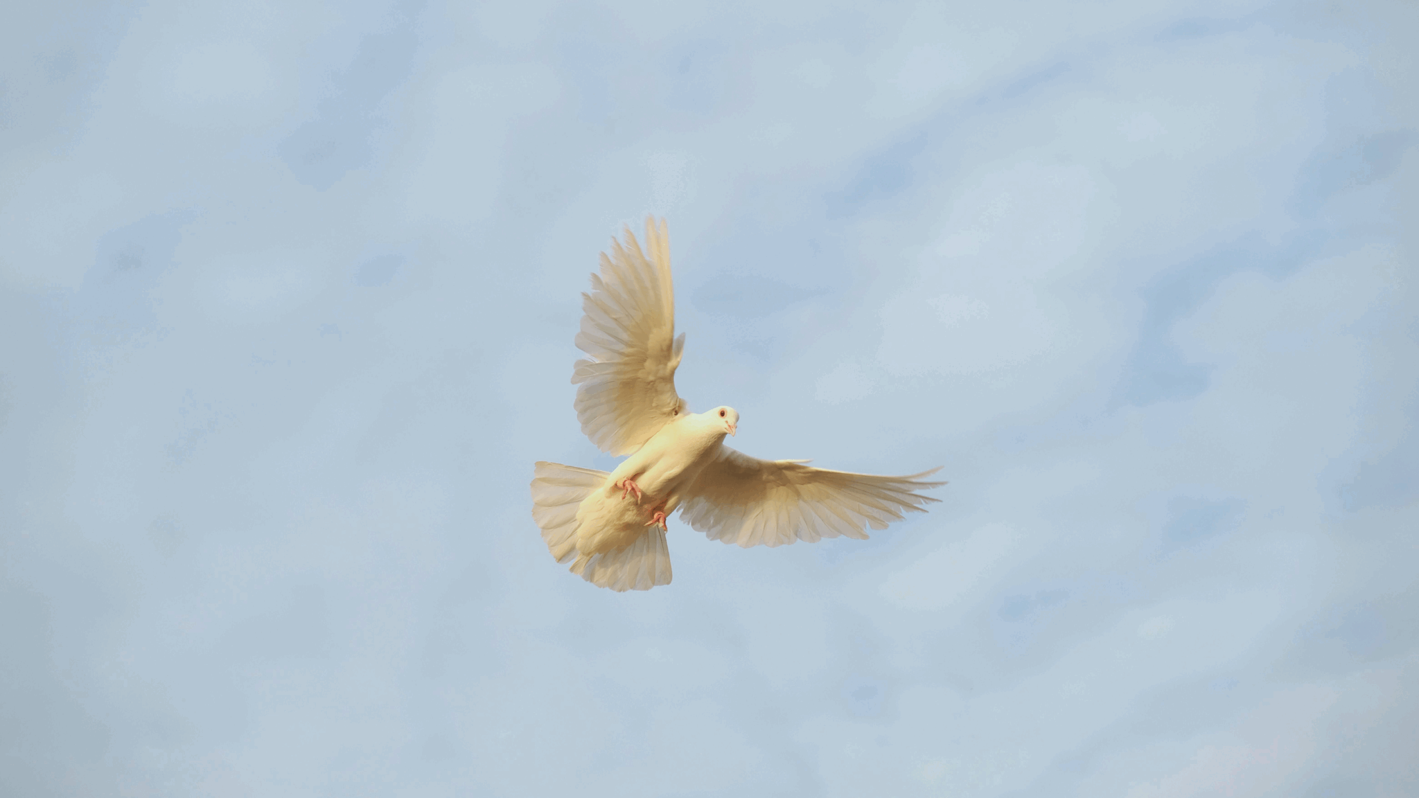 Religious Commitment: A Hopeful Approach