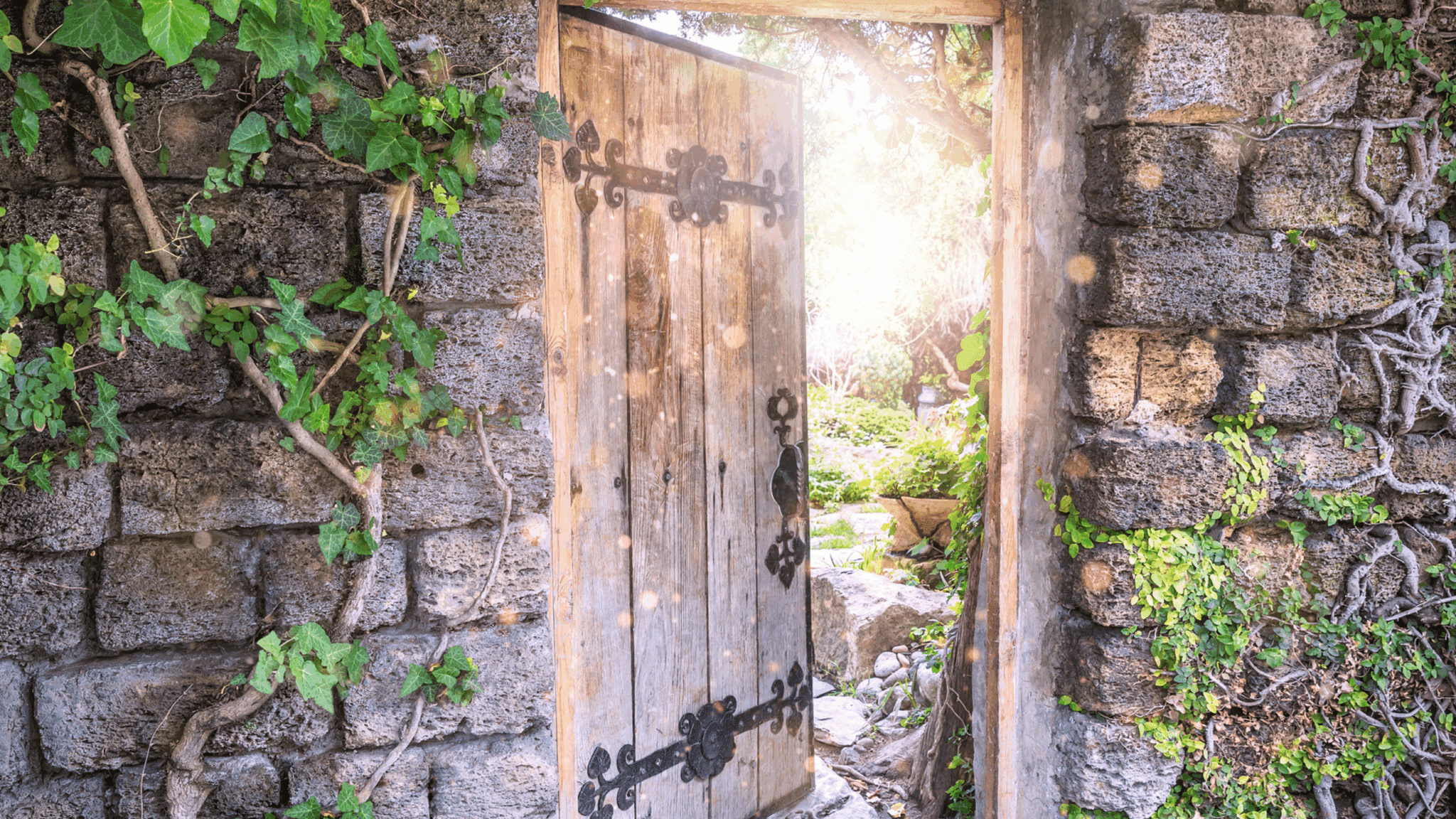 Opening the Door to Lifelong Curiosity