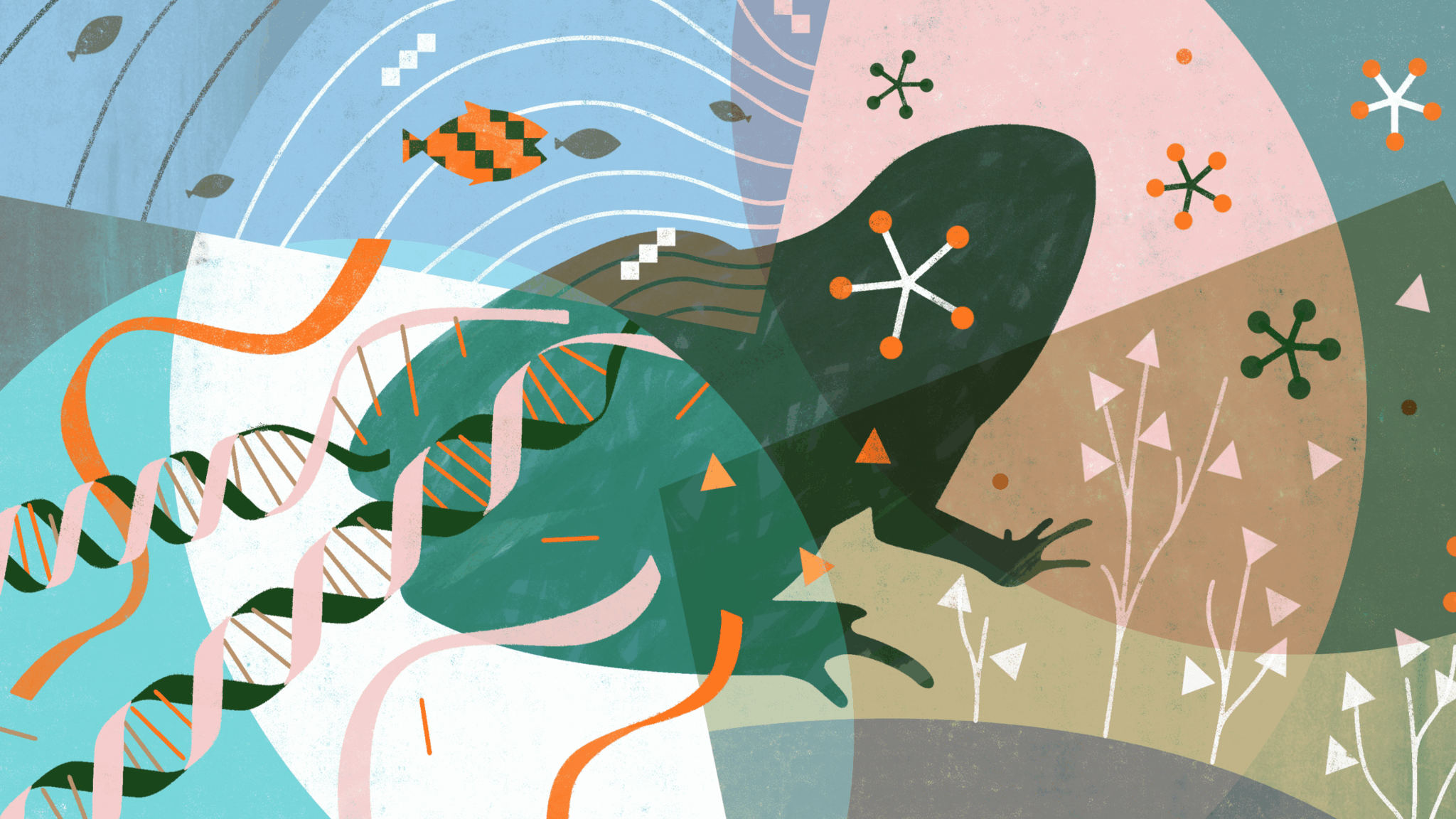 The Ecosystem Inside of You