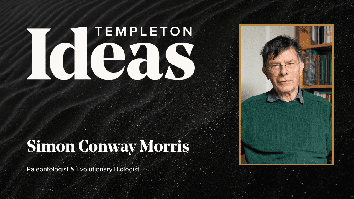 I Spy With My Camera Eye: Convergent Evolution