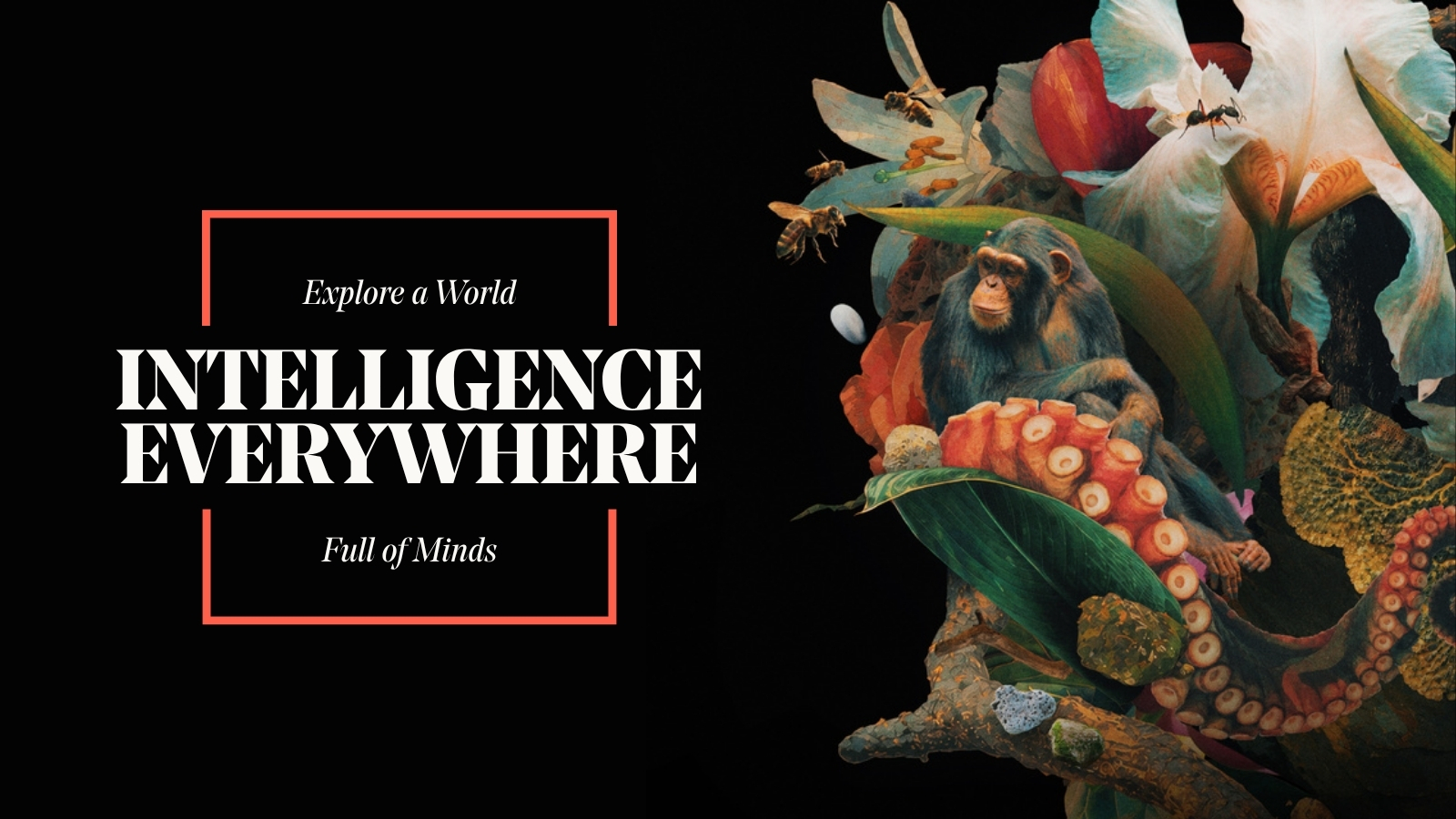 ‘Intelligence Everywhere’ to Bring Together Scientists and Filmmakers in Santa Monica for Launch of $60M Initiative